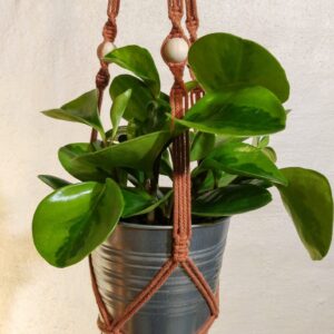 Makramee-amppeli, terracotta